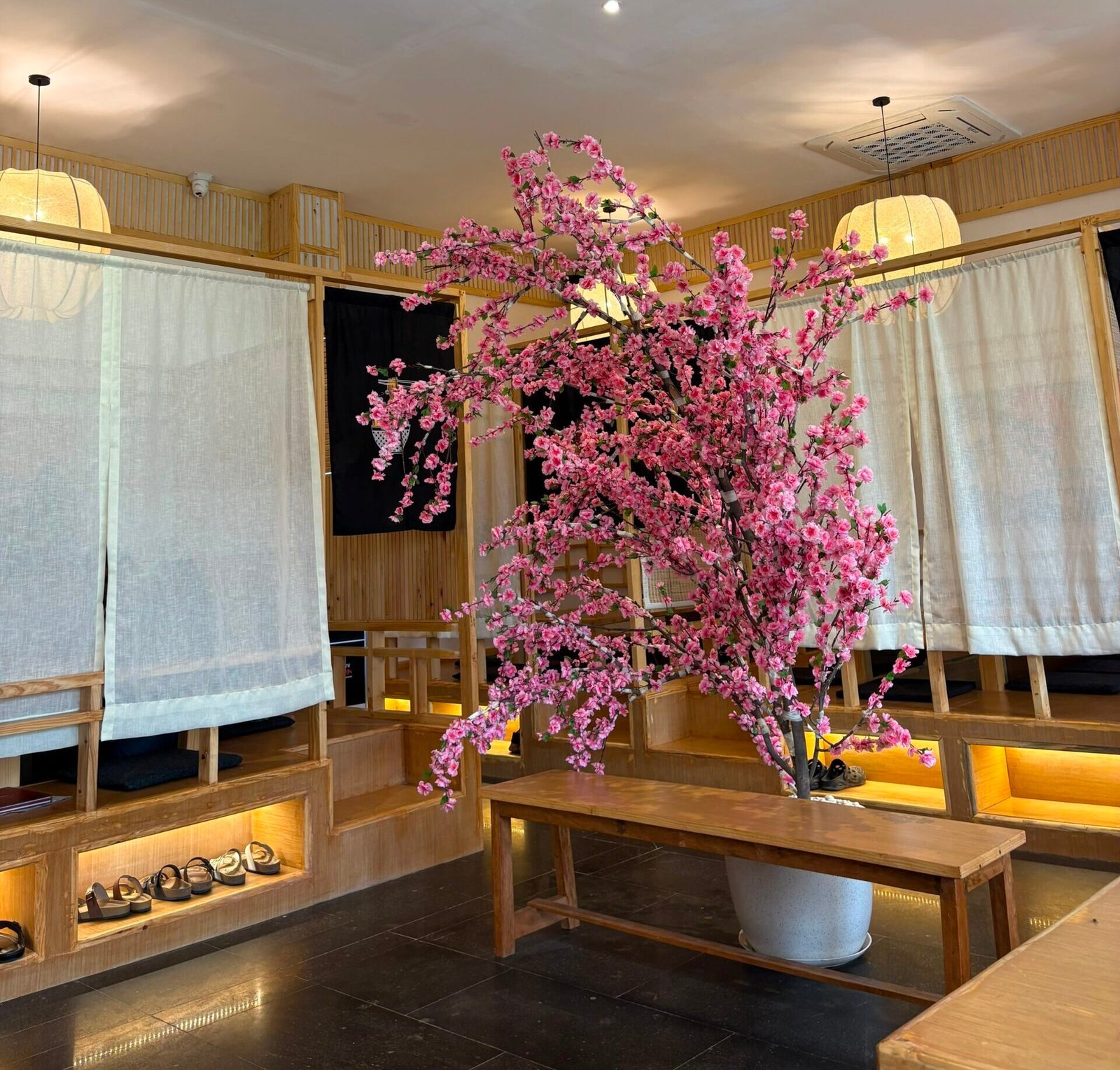 Cherry blossom tree between curtained booths
